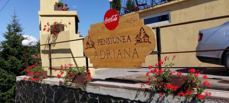 Pensiunea Adriana Straja图片