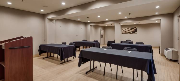 达拉姆医学中心贝斯特韦斯特SureStay Plus酒店(SureStay Plus Hotel by Best Western Durham Medical Center)图片