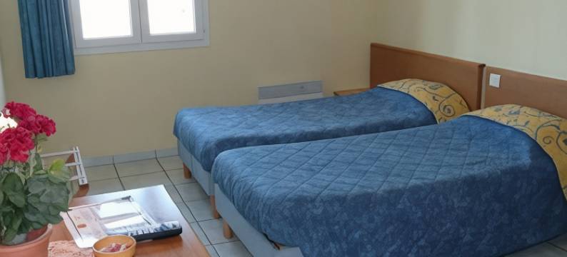 都门特思维酒店(Hotel du Mont Servy)图片