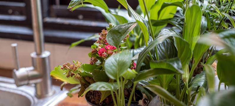 沫希上海民宿(淮海中路3号分店)图片