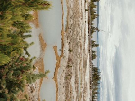 The fall colors of Yellowstone National Park are captivating