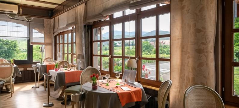 穆希酒店(Hotel Munsch Restaurant & Wellness, Colmar Nord - Haut-Koenigsbourg)图片