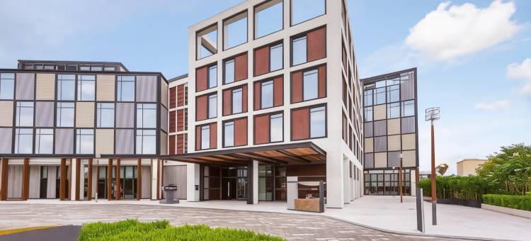 迪拜阿尔西夫希尔顿欢朋酒店(Hampton by Hilton Dubai Al Seef)图片