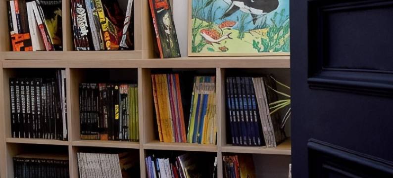 蒂布伦酒店(Hôtel le Tiburon)图片