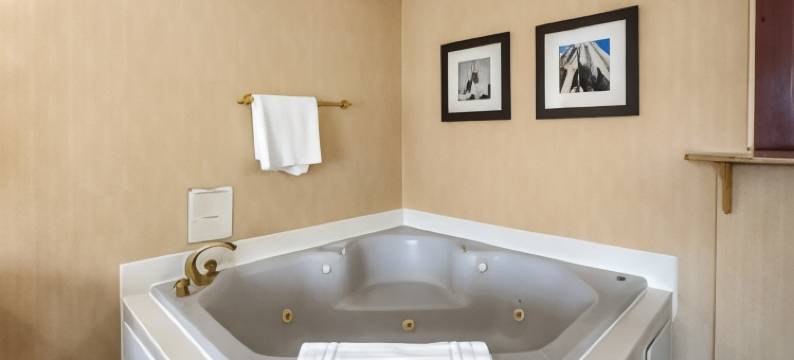 梅多兰兹舒适酒店(Comfort Inn Meadowlands)图片