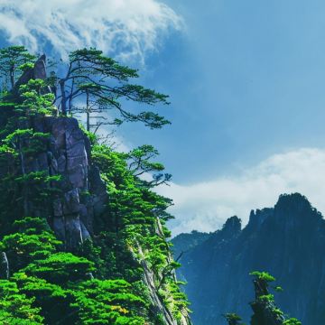 黄山风景区+九华山风景区+宏村景区5日4晚私家团