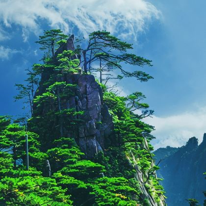 黄山风景区+婺源篁岭景区+宏村景区+西递5日4晚私家团