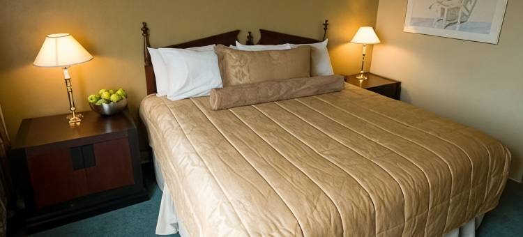 Bricktown长住酒店(Bricktown Hotel & Extended Stay)图片