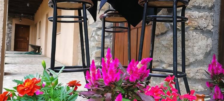 埃尔哈丁德尔孔德乡村酒店(Hotel Rural El Jardin del Conde)图片