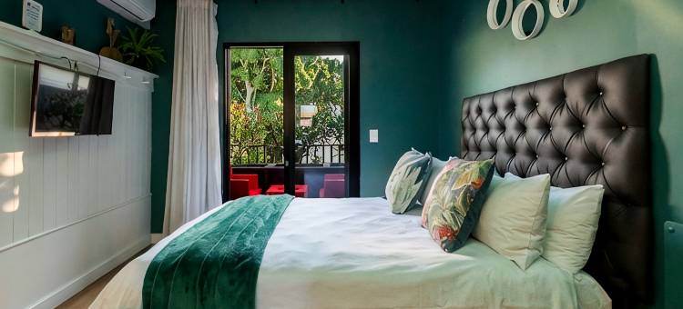 Indulge in an Urban Oasis at Green Point's Snug图片
