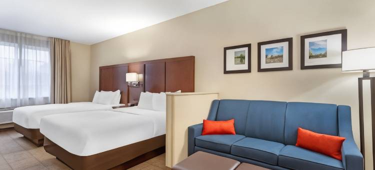 舒适套房酒店(Comfort Suites)图片
