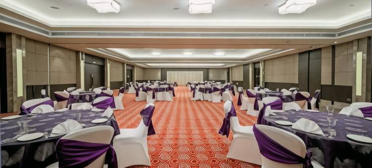 假日酒店·阿姆利则兰吉特大道(Holiday Inn AMRITSAR RANJIT AVENUE by IHG)图片