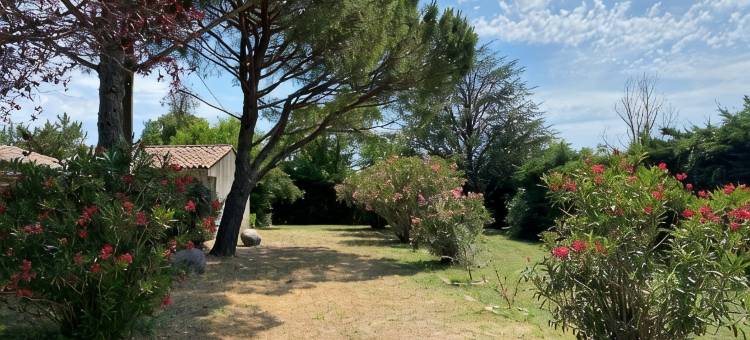 洛吉斯米斯特拉尔酒店 - 餐厅 - 蒙特利马尔南(Logis Hôtel le Mistral - Restaurant - Montélimar Sud)图片