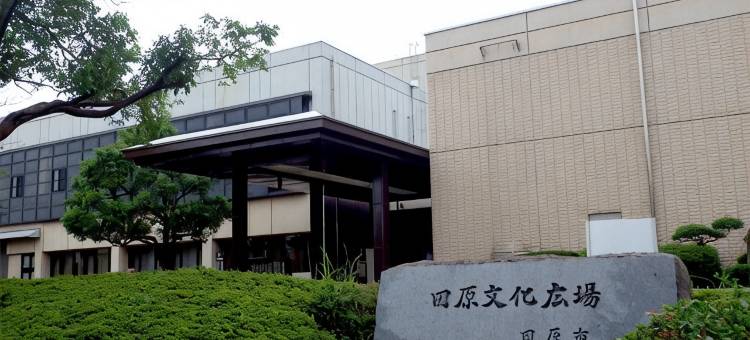 田原城市经济型酒店(Tahara City Hotel)图片