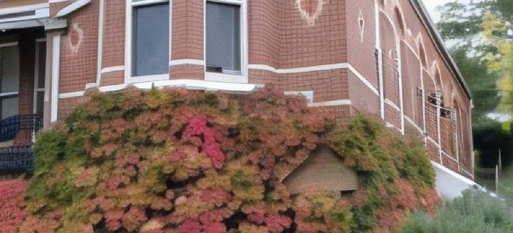 刚达盖的闪光杰克(Flash Jacks of Gundagai)图片