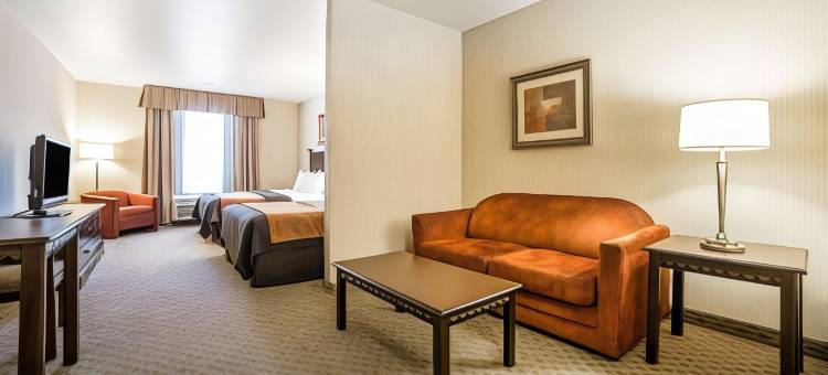 拉斯维加斯亨德森舒适套房酒店(Comfort Inn & Suites Henderson - Las Vegas)图片