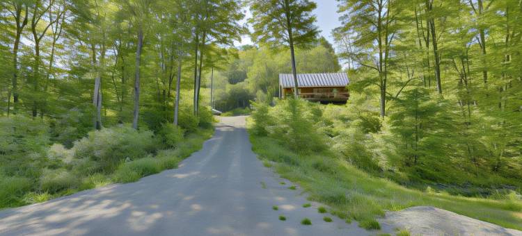 卡茨基尔山脉的私人小屋出租！(Private Cabin Rental in the Catskill Mountains!)图片