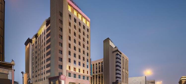 宜必思迪拜德伊勒市中心酒店(ibis Deira Creekside Dubai)图片