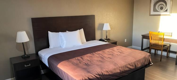 郊区开间哥伦比亚 - 哈比森(Suburban Studios Columbia - Harbison)图片