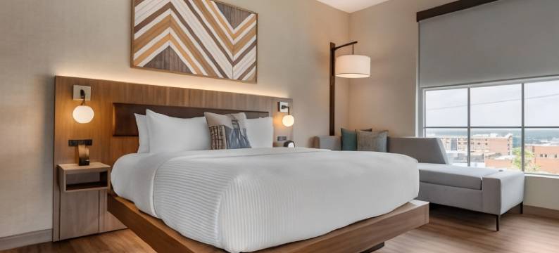 Vista的哥伦比亚市中心Cambria酒店(Cambria Hotel Columbia Downtown the Vista)图片