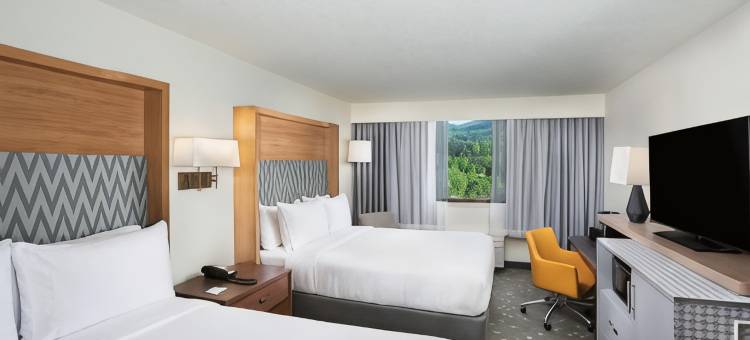 Holiday Inn 阿什维尔，比尔特莫尔东(Holiday Inn Asheville East-Blue Ridge Pkwy)图片