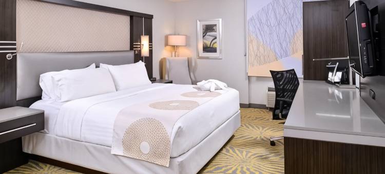 Holiday Inn 达拉斯理查森(Holiday Inn Dallas-Richardson)图片