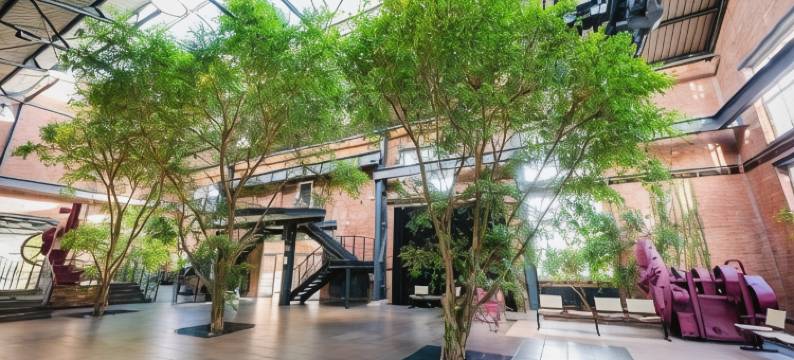 阿尔特造船厂酒店(Hotel Alte Werft)图片