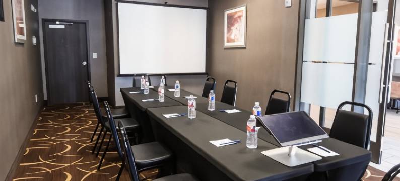 舒适套房靠近萨姆休斯顿赛马公园(Comfort Suites Near Sam Houston Race Park)图片