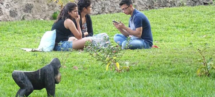 海滩花园民宿(Kivu Beach Garden)图片