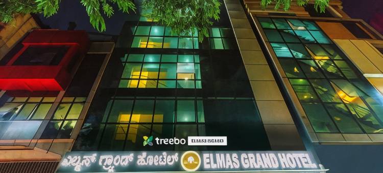 Treebo 埃尔马斯大酒店(Treebo Elmas Grand)图片