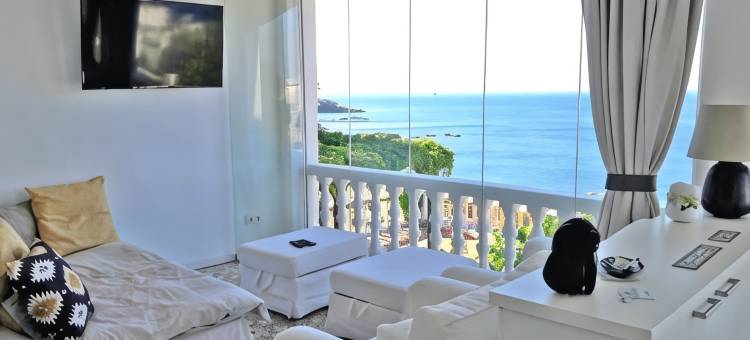 Stunning seaview apartment 2 terraces & parking图片