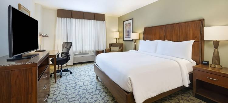 北亚特兰大/阿尔普哈雷塔希尔顿花园酒店(Hilton Garden Inn Atlanta North/Alpharetta)图片