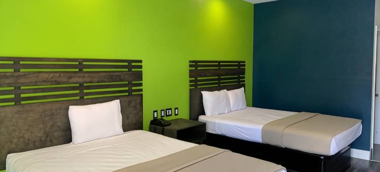 休斯顿格林斯波恩特签名酒店(Signature Inn Houston Greenspoint)图片