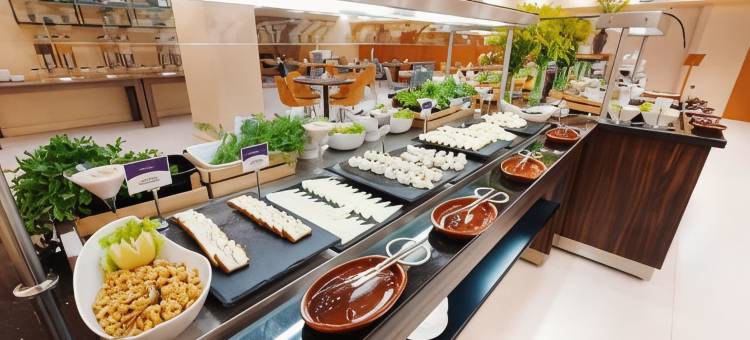 伊斯坦布尔巴克柯伊美居酒店(Mercure Istanbul Bakirkoy)图片