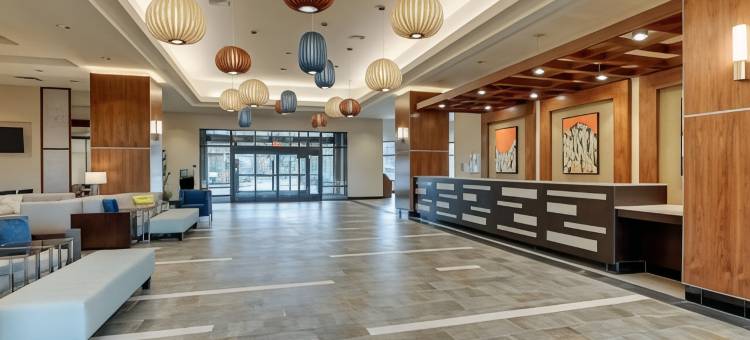 德鲁里广场酒店奥兰多-迪士尼温泉区(Drury Plaza Hotel Orlando - Disney Springs Area)图片