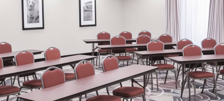 东阿马里洛欢朋套房酒店(Hampton Inn & Suites Amarillo-East)图片