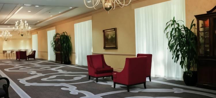 杰克逊希尔顿酒店(Hilton Jackson)图片