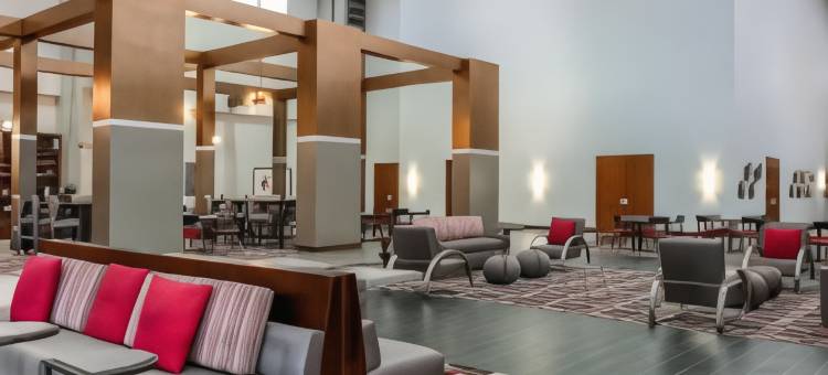 本顿维尔福朋喜来登酒店(Four Points by Sheraton Bentonville)图片