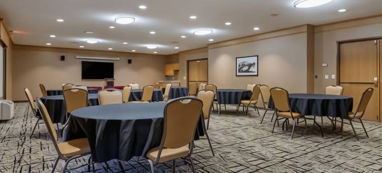 切尔西贝斯特韦斯特优质酒店(Best Western Plus Chelsea Hotel)图片