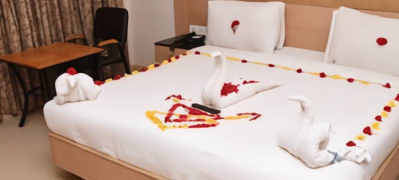 瓦山国际酒店(Hotel Varshan International)图片