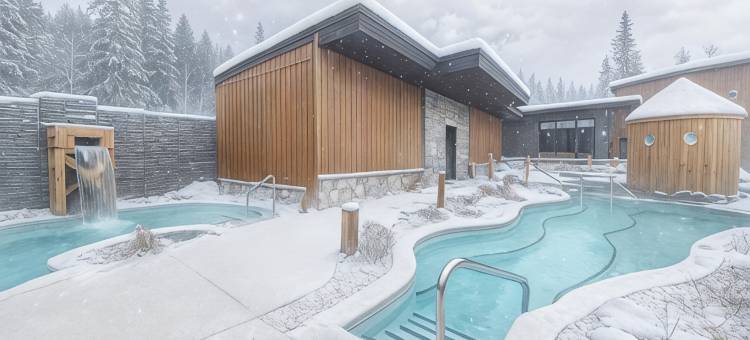 Everwild北欧Spa酒店(Everwild Nordic Spa & Hotel)图片