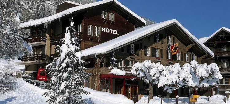 劳特布龙嫩旭森酒店(Hotel Schützen Lauterbrunnen)图片