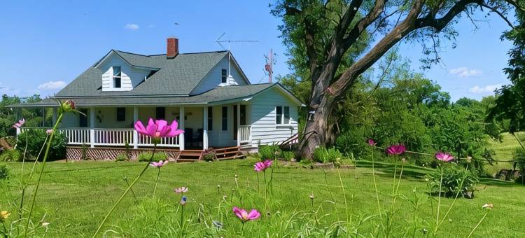 Our 80-Acre Farm, Lake, Nature Trail, Bonfires, Starry Nights  2 Miles Grafton图片