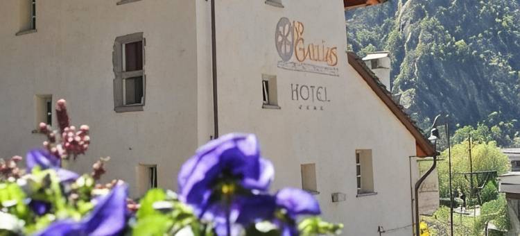 艾德加拉思酒店(Hotel Ad Gallias)图片