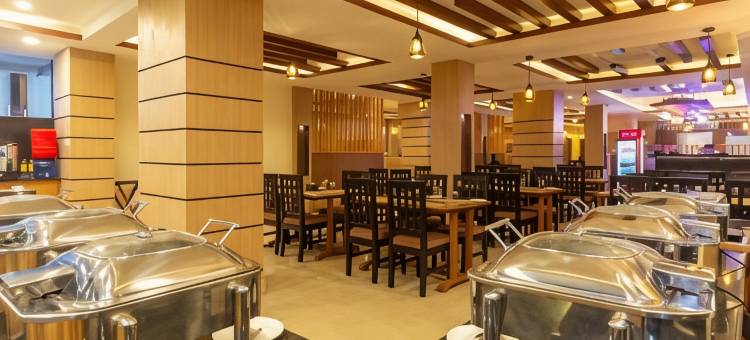 奇特旺市中心酒店(Chitwan Midtown Hotel)图片