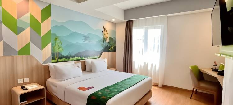 麦克斯万酒店@查亚普拉(MaxOneHotels.com @ Jayapura)图片