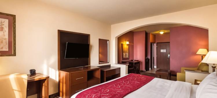 麦卡伦机场和La Plaza购物中心舒适套房酒店(Comfort Suites McAllen Airport and la Plaza Mall)图片