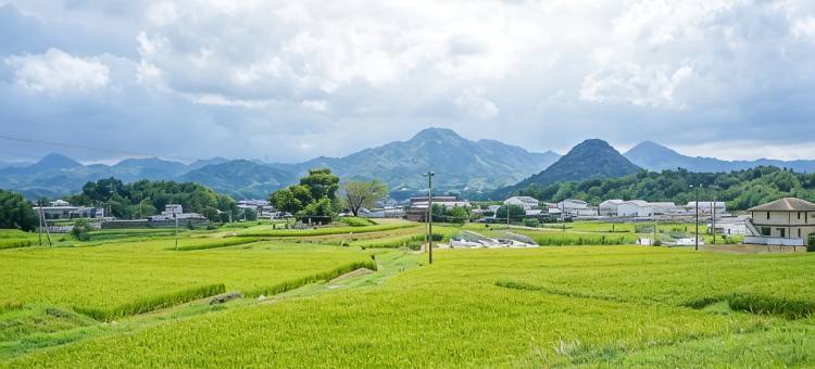Meguru Eco Guest House |Permaculture |Café &Farm图片