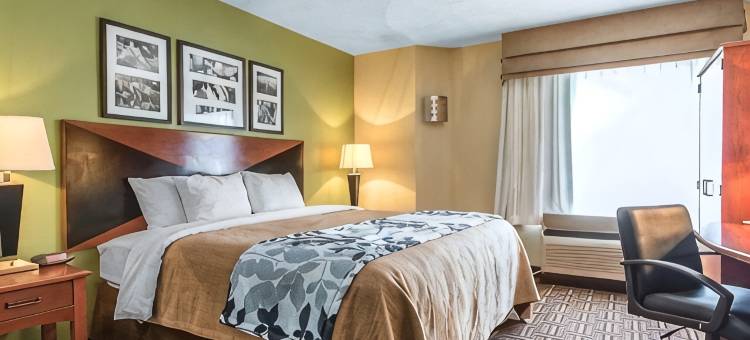 Demeure Hotels的The Douillet(The Douillet by Demeure Hotels)图片
