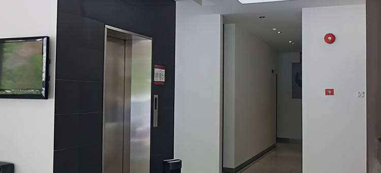 吉恩酒店(Jin Hotel)图片